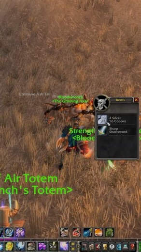 Fighting 2 Dragonkin in Dustwallow Marsh - Classic wow