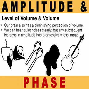14K views · 379 reactions | MUSIC THEORY – Amplitude, Phase and...