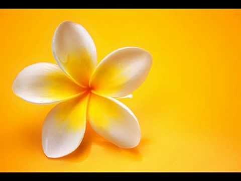 Loving Kindness Meditation