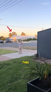 The Dream Come True for Children❤️ | Fact BHAI