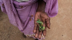 Yes there is famine in Sudan. So why isn't 'famine' being declared?