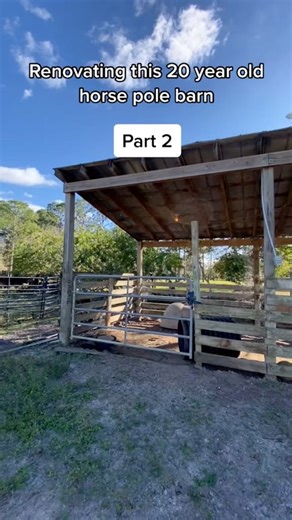 Part 2! #equestrian #horses #equine #horse #renovation #fblifestyle | Stephanie Moratto