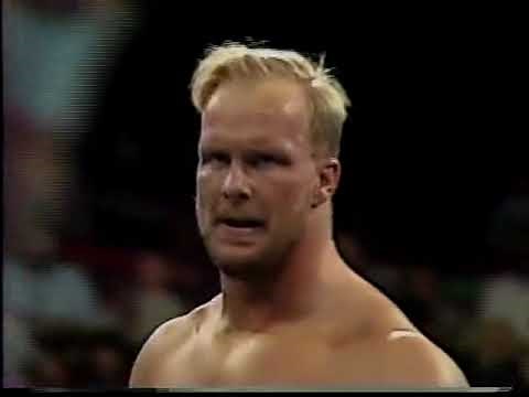 Stunning Steve Austin vs Sting