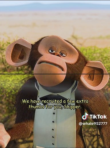 Madagascar Penguins: Cute Animations and Adventures