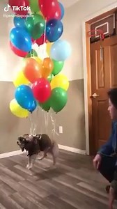 6.7K views · 107 reactions |  | GIFs | Facebook