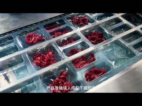 JCN丨TF-420 Compact Design Thermoforming Vacuum Packing Machine