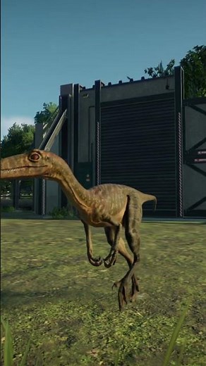 Troodon Release Animation #jurassicworld #jurassicworldevolution2 #troodon
