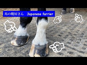 【馬の靴屋さん】4蹄削蹄version 馬術 乗馬 装蹄 〜japanese farrier〜