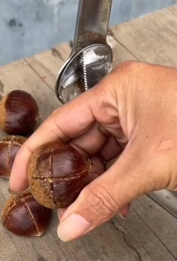 轻松开板栗壳 #实用好物 #板栗去壳妙招 #实用小技巧