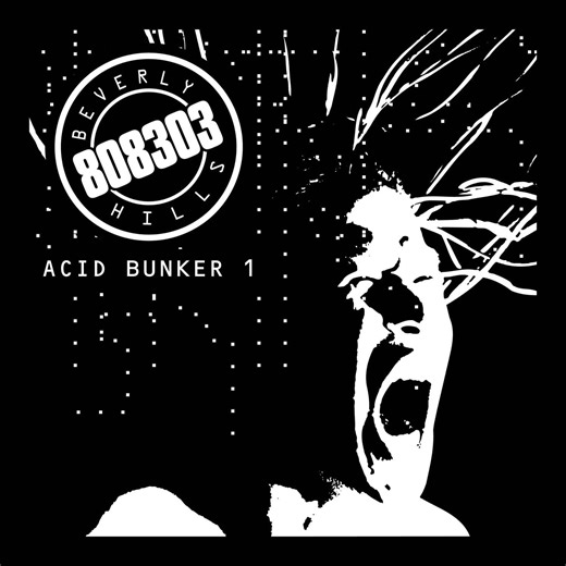 Beverly Hills 808303 - Acid Bunker 01