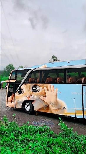 Part 20 || Peek-a-Boo Transparent Bus Mode #shorts