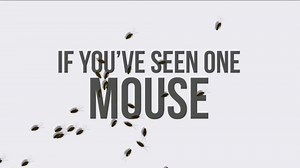 Preventive Pest Control TV Spot, 'If You've Seen One Pest'