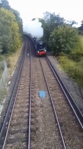 The wonderful sights and sounds of the steam train passing through Horsham. Video Credit: Brendon Heneghan / Memories of Horsham | Visit Horsham