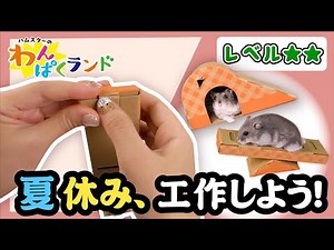 🐹夏休みに工作しよう💓ハムスターのわんぱくランド