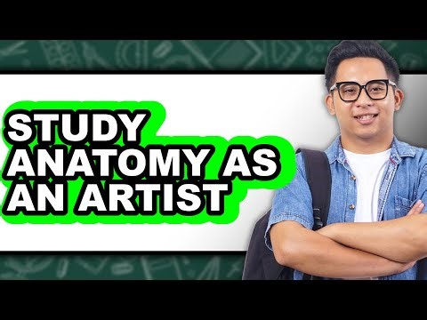 How to Study Anatomy as an Artist (updated)