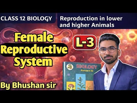 Female reproductive system || Reproduction in lower & higher animals|| lecture 3 | Class12 | MHT CET