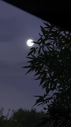 O Allah, protect my brother I want to see him in the highest Level of paradise.🦋🫀#1millionaudition #islamic_video #explore #zain_writes #viraltiktok #aesthetic_writes_ #aesthetic