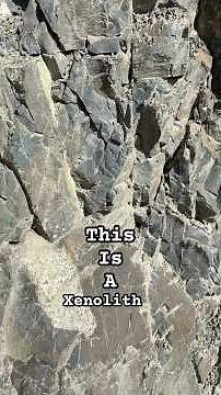 The Difference between a Xenolith and an Enclave