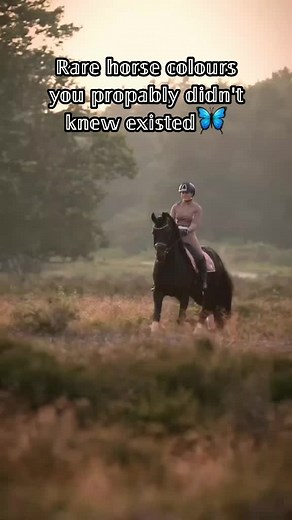 Tysm for 35k!🤍#viral #fypシ #tiktok #fyp