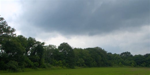 Effects of last year’s drought still impacting Mississippi landscape