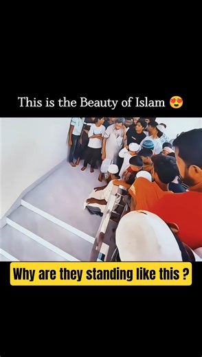 MashaAllah ❤️ #Allah #Quran #muslims #islamic #shorts