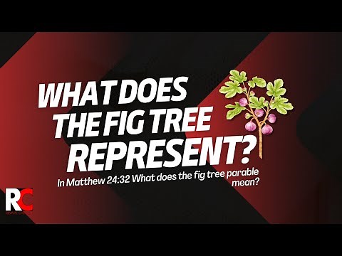 What does the fig tree represent in Matthew 24:32?