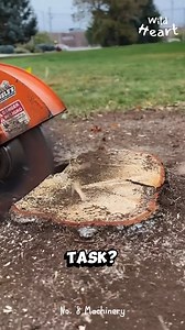 Satisfying Way of Removing Tree Stumps #asmr #treestumpremoval #interestingfacts | Wild Heart