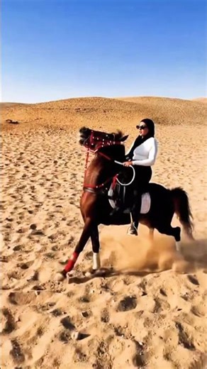 Horse Racing Fast on Road | Amazing Speed Horse 🐎🔥 #shorts #horse #equestrian #horserider #horse