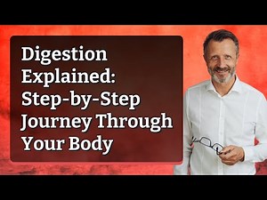 Digestion Explained: Step-by-Step Journey Through Your Body