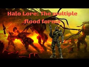 Return to the flood [Lore]