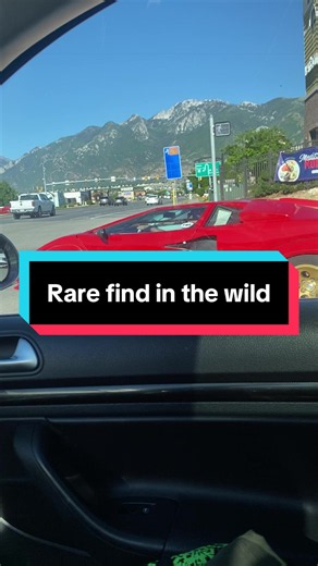 SUPER RARE!!! #lamborghini #rare #car #epic #fyp | lamborghini countach