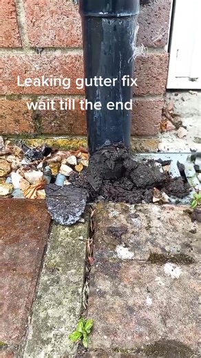 Gutter Guy on TikTok