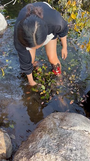 Oh my god, in this wild place, there are so many ticks biting my feet#asmrsounds#asmr#varil