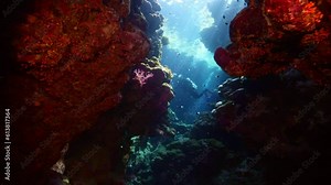 Underwater Cave with Diver Photographer. Tropical blue sea water. Scuba Diver Exploring Cave. Slow Motion. Red Sea, Egypt. Underwater World Life. Tropical Underwater Seascape. Reef Coral Scene.