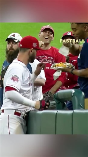 #foryou #usa #baseball #MLB #sports | baseball