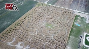 SKYFOX: Looking for some fall fun? Here's a look at the new and challenging corn mazes at Basse's Taste of Country Farm Market. | FOX6 News Milwaukee