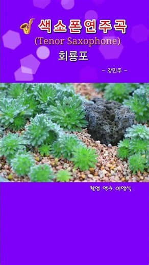 회룡포 강민주 테너색소폰 연주곡 #일상탈출 #추억소환 #추억여행 #취미활동