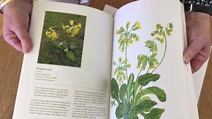 15K views · 365 reactions | At the opening of Eireannach, the Irish...