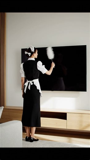 Loop Maid 📺 Dusting the TV
