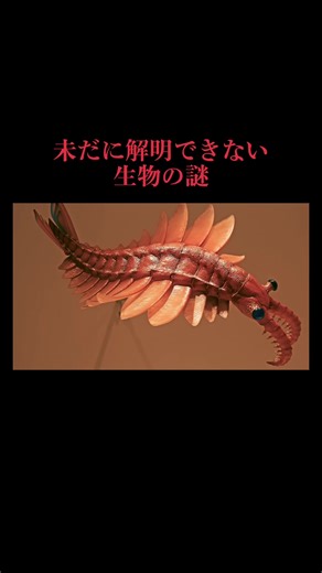 この地球には、どのように進化してきたのかわからない生物がいる…。続きはYouTubeで…。#生物 #謎