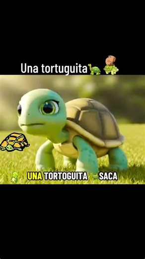 Join the Turtle Fun: Live Incentive Program