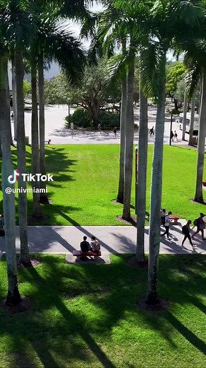 Embracing the Warmth at University of Miami