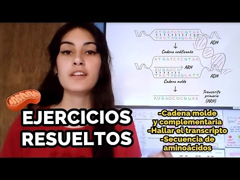 Solved exercises on DNA/RNA transcription and translation - Explained step by step