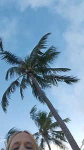 56K views · 1.3K reactions | Daisy's got her bluejeans on ❤️ #CountryGirl #FloridaWoman #DeerfieldBeach #PecDance #ViralReels #SouthFlorida | Daisy Chain Cosplay | Facebook