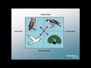 Behavior Styles
