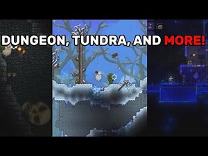 Exploring different terraria biomes
