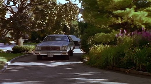 The Color of Friendship