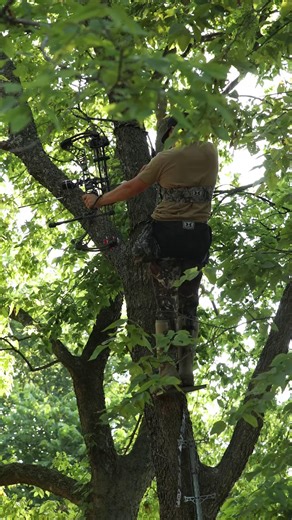 The start of the season will be here in no time. Make sure you're getting out and practicing ahead of opening day. Check out all of our Saddle Gear at the link below. https://shop.hawkhunting.com/saddles-platforms/ | HAWK