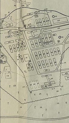 The fate of NSB members in the Dutch East Indies