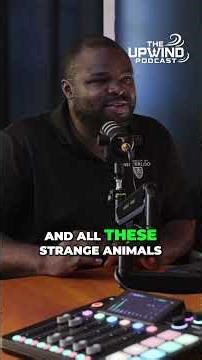 From Nigeria to Global: Flutterwave's Billion-Dollar Journey #shorts